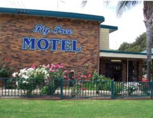 Fig Tree Motel - Tourism Brisbane
