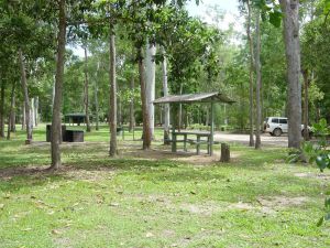 Broadwater camping area Abergowrie State Forest - Tourism Brisbane