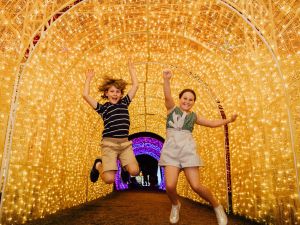 Christmas Lights Spectacular New Year's Eve at Hunter Valley Gardens - Tourism Brisbane